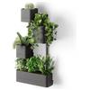 Umbra Cubiko Fioriera da parete, portapiante in metallo, Nero | Struttura a cubo aperta, per piantine in vaso e succulente, uso interno, porta verde sulle pareti vuote