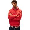 Tommy Jeans Tjm Reg Linear Logo Hoodie Ext Dm0Dm20746, Felpa con Cappuccio, Uomo, Rosso (Terracotta Red), S