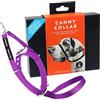 Canny Collar - Collare a Cavezza Addestramento Cane | Collare Anti‑Tiro Gentile e Sicuro | Camminate Piacevoli Senza Stress - Viola, Taglia 6