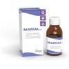 Aurora Biofarma Marial Gel - Antiacido per Reflusso Gastroesofageo e Laringofaringeo - Per Adulti e Bambini - Flacone 300 ml, Senza Glutine e Lattosio