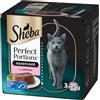 Sheba Perfect Portions paté con Salmone 3x2x37,5g*8