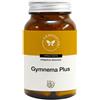 CENTO FIORI GYMNEMA PLUS 100CPS VEG
