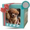 Generic AI Robot Dog - Realistic Interactive Plushing che cammina, abbaia, coda Wags e si siede come un vero cane, un animale domestico elettronico intelligente per bambini 6-12+, bambini e adulti