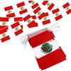 Anley Perù String Flag Stendardi stendardi, Eventi patriottici 28 luglio Decorazione del giorno dell'indipendenza peruviana Bar sportivi - 33 piedi 38 bandiere
