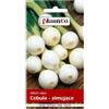 WegAna PlantiCo Cipolla Agra 3g Semi Cipolla Invernale Robusta Semi di Ortaggi Semi di Ortaggi Semi di Coltivazione Semi di Serra Orto Ortaggi