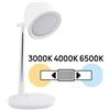 Lampada da tavolo LED 8W Touch Dimmerabile e CCT