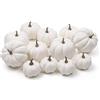 Ogrmar Confezione da 12 zucche artificiali assortite, mini zucche finte per Halloween, decorazione per feste del Ringraziamento, colore bianco