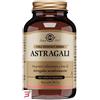 SOLGAR IT. MULTINUTRIENT SPA ASTRAGALI 100 CAPSULE VEGETALI