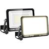 RIGIDON 2 x Faretto LED da Esterno con Spina, 100W 10000LM Fari di Sicurezza