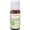 Tiny Herbs BronchialVital - 10 ml
