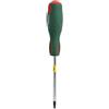Hans Cacciavite TORX HANS 0340T15X100