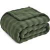 Topfinel Coperta Pile Matrimoniale,Plaid Termica Pelosa Morbida,Calda e Confortevole,OEKO-TEX,Coperta Invernale da Divano,Per Neonato e Animali Domestici (Gatti,Cani),Verde Oliva,150x200 CM