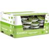 Cereria Di Giorgio - 80 Fiaccole in alluminio alla Citronella di Java 100% Naturale - Anti zanzare e insetti - Diametro 11 cm - Durata 3 ore