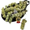 Greekherbay Tisana sciolta taglio tè greco di montagna 20 g - 4,9 kg Sideritis Raeseri