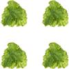 Amosfun Modelli Di Simulazione Di Foglie Di Lattuga Finte 12 Pezzi Decorazione Vegetale Realistica Per Casa Cucina Ristorante Negozio 6.22X4.33X0.31In Ornamento Di Verdure Artificiali