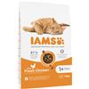 IAMS Cat Adult All Breeds Chicken 10kg