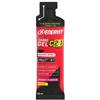 ENERVIT SpA ENERVIT C2:1 CARBO GEL MANGO