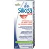 Ki Group GEL SILICEA PER HERPES LABIALE HUBNER 2G