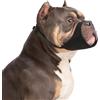 Yoolhamy Museruola per Cani a Muso Corto per Pitbull, Rottweiler, bulldog, Pugili Americani, per Cani a Muso Corto di Taglia Media Grande per Evitare Morsi e Abbaiare (M)
