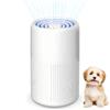 ChaneeHann Purificatore d'Aria con Filtro HEPA, Portatile USB, Doppia Filtrazione, Elimina Odori Fumo Polvere e Peli Animali, Ultra Silenzioso, 5W, per Casa Auto Ufficio fino a 20m²