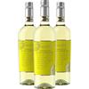 Toscolo Vernaccia di San Gimignano 2020-90 punti James Suckling - Vino Toscano Bianco - DOCG - 0.75L (3 Bottiglie)