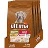 Ultima Medium-Maxi Senior Pollo - Crocchette per cani - Confezione da 4 x 2,2kg - Totale 8,8kg