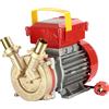 Rover Pompe Rover BE-M 25 IP 55 - Pompa elettrica da travaso in bronzo con protezione IP55 - Monofase - 230V