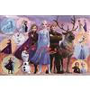 Epoca (EPOCA) Puzzle 1000 pezzi Disney Frozen 2 Collection (Frozen 2 Collection) [puzzle