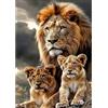 NEWENMO Maestoso Famiglia di Leoni Diamond Painting Kit per Adulti,5D Animali Selvatici Pittura Diamante Kit,Fai Da Te Diamond Art Kit Completo,per Adulti Principianti Decorazione Casa 30x40cm