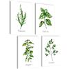 mojoliving Set di 4 poster da cucina moderno a base di erbe, decorazione da parete, motivo acquerello, 4 x A4, senza cornice, rosmarino, basilico, origano, prezzemolo K3
