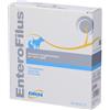 Enterofilus Drn Enterofilus Mangime Complementare Simbiotico Cani E Gatti 12 Fiale