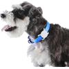 Amazon Basics Supporto per AirTag per Collare Cane, Misura Universale, 2 Pezzi