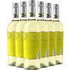 Toscolo Vernaccia di San Gimignano 2020-90 punti James Suckling - Vino Toscano Bianco - DOCG - 0.75L (6 Bottiglie)
