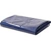 vidaXL Telone 650 g/m² Resistente all'Acqua Anti UV Antistrappo con Occhielli in Metallo Incerato Rivestimento PVC Telo Protezione 5x6 m Blu
