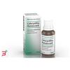 BIOLOGISCHE HEILM. HEEL GMBH COLOCYNTHIS HOMACCORD*gocce orali 30 ml flacone contagocce