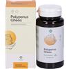 Gheos Polyporus Gheos 90 Capsule