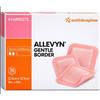 Smith & Nephew - Allevyn Gentle Border 12.5X12.5 Cm Confezione 10 Pezzi