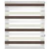 Estoralis Loras Tenda a Rullo Notte e Giorno, Marrone/Beige, 145 x 175 cm