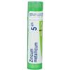 Boiron Zincum Metallicum 5 Ch 80 Granuli 4 g