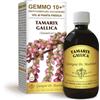 Dr Giorgini TAMERICE (TAMARIX GALLICA) G10+ Gemmoderivato - 500 ml