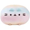 Pusheen Squisheen rotondo arcobaleno