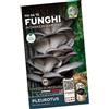 Magnani Chiodi di Micelio - Pleurotus