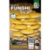 Magnani Chiodi di Micelio - Fungo d'Oro 20 pz