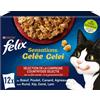 FELIX Sensazioni gelatina | Gatto adulto | Selezione di manzo, pollo, anatra, agnello, confezione da 12 x 85 g | Sacchetto di freschezza