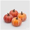 EDG Enzo De Gasperi Zucca Rotonda Cf 4 Pz Ass. H 8 Cm D 9 Cm Arancione Rosso