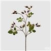 EDG Enzo De Gasperi Rosa Canina Glory Ramo H 68 Cm con Bacche Burgundy