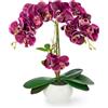 PASCH® Orchidea Artificiale in Vaso di Ceramica Lucida (40 cm) - Fiori Come Reali