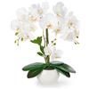 PASCH® Orchidee Artificiali in Vaso di Ceramica Lucida (40 cm) - Fiori Come Reali