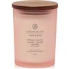 Chesapeake Bay Candle Chesapeake Bay candela profumata | Candela media Tumbler Stillness + Purity per aromaterapia | Durata: fino a 57 ore | Collezione Mind & Body