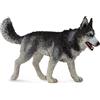 Colleziona una replica realistica di un animale Siberian Husky di grandi dimensi
